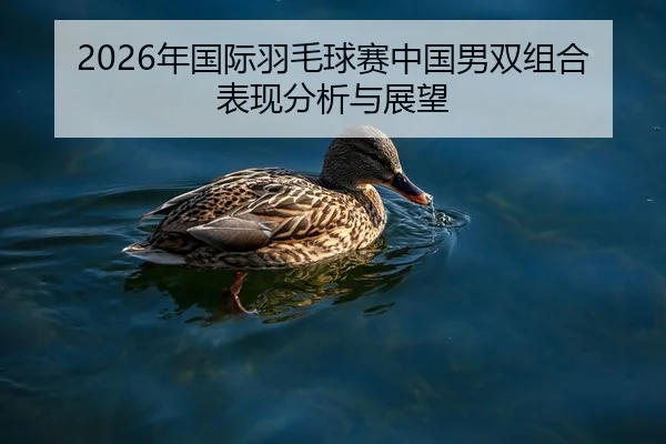 nian-guo-ji-yu-mao-qiu-sai-zhong-guo-nan-shuang-zu-he-biao-xian-fen-xi-yu-zhan-wang-2-137.jpg