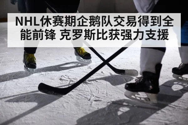 NHL休赛期企鹅队交易得到全能前锋 克罗斯比获强力支援