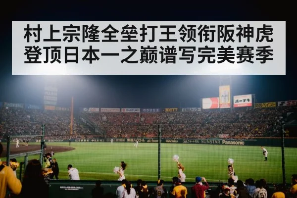 baseball stadium night game